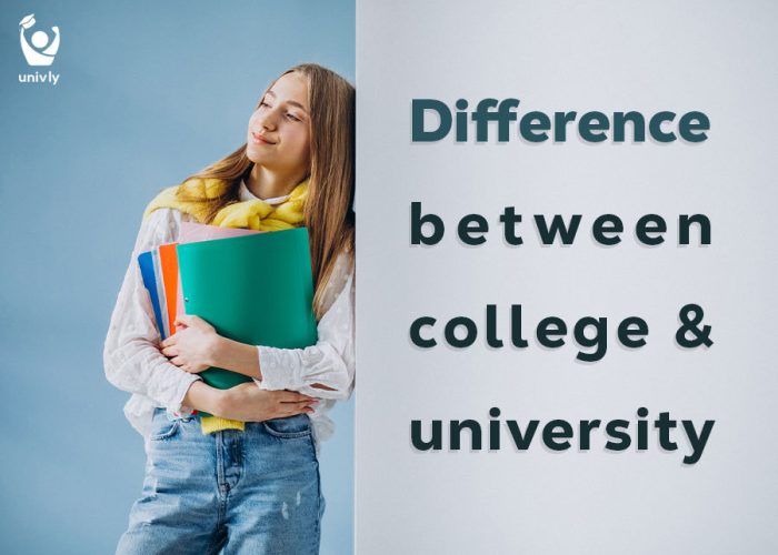What is the difference between colleges and universities?